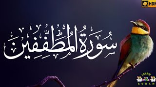 Surah Al-Mutaffifin | Beautiful Heart Touching Voice |