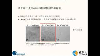 HINT以高通量成像方式快速检测和评价冠状病毒药物的方法实例