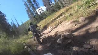 Single Track Trails Soapstone Mountain Utah