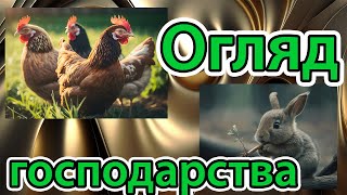 Огляд нашого господарства. Дощі не припиняються, бруд, дах протікає ,але ми з яйцями.