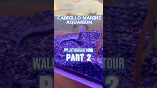 Exploring Cabrillo Marine Aquarium! | Part 2 | #aquarium