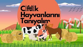 #1- Ciftlik Hayvanlarını Tanıyalım: Köpek, At, İnek, Tavuk ve Koyun!