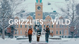 Grizzlies in the Wild | Melt