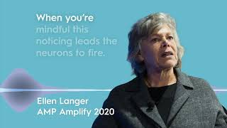 AMP Amplify Digital - Dr Ellen Langer Wrap