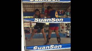 Muay Thai Boxing Sparring