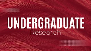 Undergraduate Research