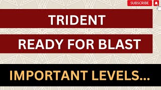 Trident Share Latest News, Trident Share, Trident Share News Today, Trident Share Analysis