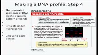 3 5 13PCRfingerprinting