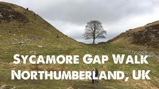 A Walk to Remember | Sycamore Gap Travel Vlog