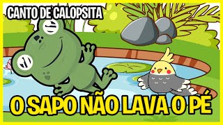 Canto de Calopsita - O Sapo Não Lava o Pé