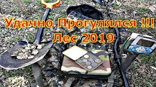 Коп монет в городском лесу 2019!