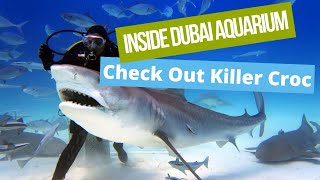 Inside The Dubai Aquarium & Underwater Zoo - The Largest Aquarium In The World