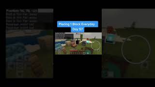 Placing 1 Block Everyday In Minecraft - Day 57 #shorts