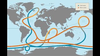 Riscaldamento naturale dell'Oceano, correnti e Granchio Blu - L'analisi del dott. Samuele Venturini