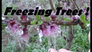 Permaculture Frozen Forest 2018 Spring Preperations