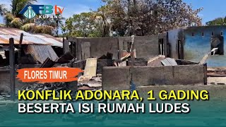 Konflik Adonara, 1 Gading Beserta Isi Rumah Ludes, Warga Harap Bantuan Pemerintah