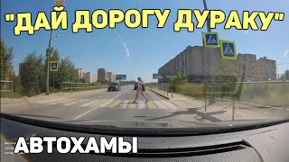 Автоподборка "Дай Дорогу Дураку"🚩Автохамы#292