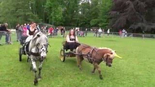 Ludivine et Anais - Lubo et Dastan - Carroussel Attelage - Spectacle à Arques