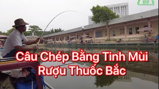 Câu Cá Chép Xả Mồi bằng rượu thuốc Và Tỏi Ớt Cá Siêu Quấn Ổ