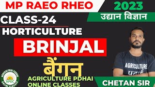 Class-24 | Brinjal | बेंगन | Horticulture | MP RAEO | RHEO | SADO | ATM | BTM | By Chetan Sir