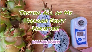 FALL 2022 | TASTING ALL OF MY DRAGON FRUIT!