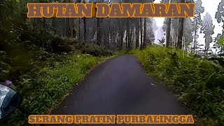 JALAN DENGAN VIEW HUTAN ‼️ JALUR MENUJU PRATIN PURBALINGGA VIA PEDESAAN