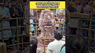 কোন রহস্য ঘিরে আছে পশুপতিনাথ মন্দিরে? #pashupatinath #shorts