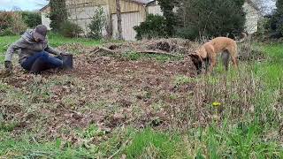 Terra, Mon assistante au jardin 🐕