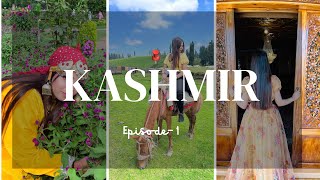 #kashmir EP- 1| kashmir Trip| Kashmir tour plan| Dhaka to Kashmir| কাশ্মির ভ্রমন