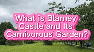 What is the Blarney Castle & It's Carnivorous Garden?