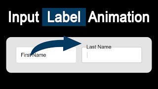 Input Field Label Animation Using  HTML and CSS | Input Animation using CSS