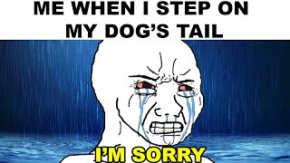 memes that make me say SORRY