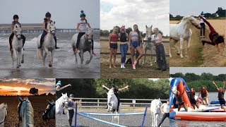 Equestrian Summer Meetup 2018