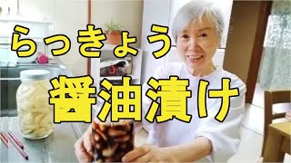 【醤油らっきょう】甘くなくおつまみにも合う、ラッキョウ漬けの作り方