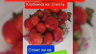 Клубника из Египта. Цена просто Шок!!!