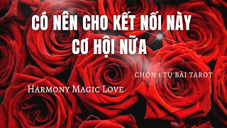 Chọn 1 tụ bài #Tarot ♥️ [BIGLOVE] CÓ NÊN CHO KẾT NỐI NÀY CƠ HỘI NỮA  #union #harmonymagiclove #love