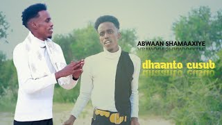 ABWAAN SHAMAAXIYE DHAANTO CUSUB FARDOWSO official music oudio 2024 comin soon