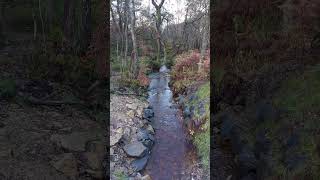 Peace and tranquility at Glencryan Burn #cumbernauld #stream #water