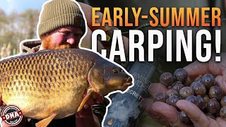 TIPS, RIGS AND BAIT! EARLY-SUMMER CARPING | DNA BAITS | CARP FISHING | WYRESIDE LAKES | CALLUM REID