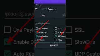 HTTP CUSTOM UDP settings #udp #httpcustom