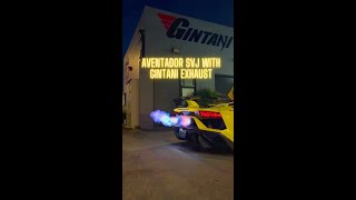 Lamborghini Aventador SVJ With Gintani Exhaust