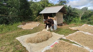 Adem Ayem Bikin Ketagihan Datang ke Desa ini, Suasana Pagi yang sejuk