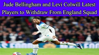 Jude Bellingham and Levi Colwill latest players to withdraw from England squad