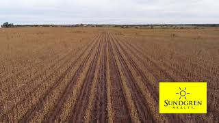 SOLD 95.5+- Acres Sedgwick County, Kansas Tillable Land For Sale By Auction