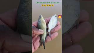 Underwater fish life saved #arcade #trending #fishing #ytshorts #fish #respect #viralvideo