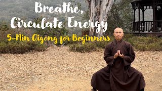 5-Minute Qigong Daily to BREATHE, and CIRCULATE Your ENERGY | Qigong for Beginners