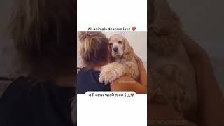 All animals deserve love #shortsvideo #viral #love #shorts