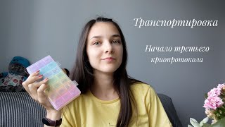 Транспортировка эмбрионов. Начало третьего криопротокола