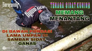 Mancing sidat di tempat bekas pembuangan mayat,Ternyata ada sambaran ges