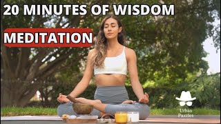 Meditative Wisdom : A 20 Minute Meditation for Intellectual and Personal Development